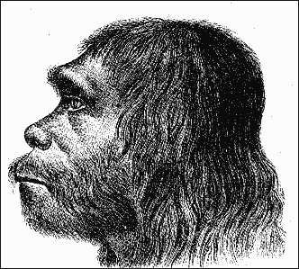 20120205-Neanderthaler_Fund 2.png